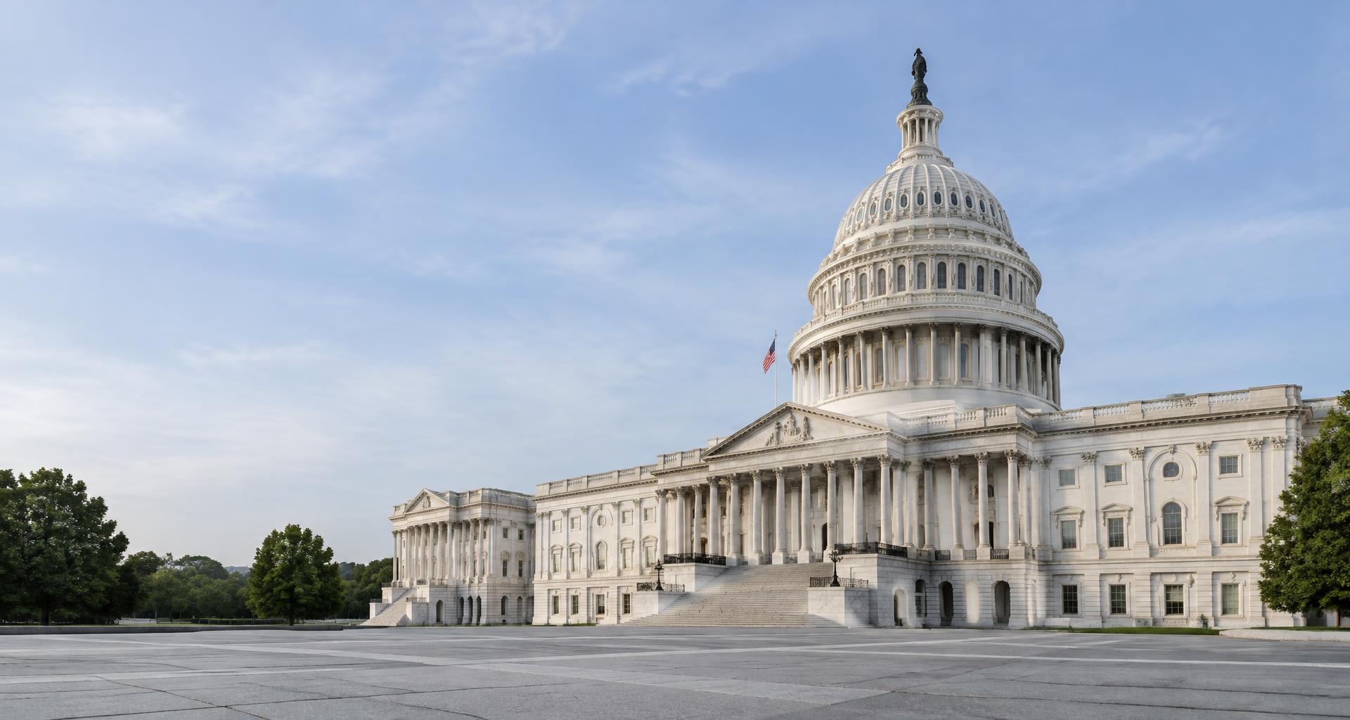 United States Capitol, representing the public agencies Delta Kilo Solutions serves